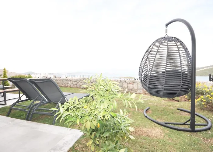 Esteban Oezel Plajli